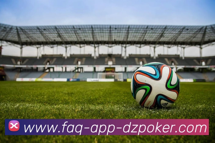 App 展示图